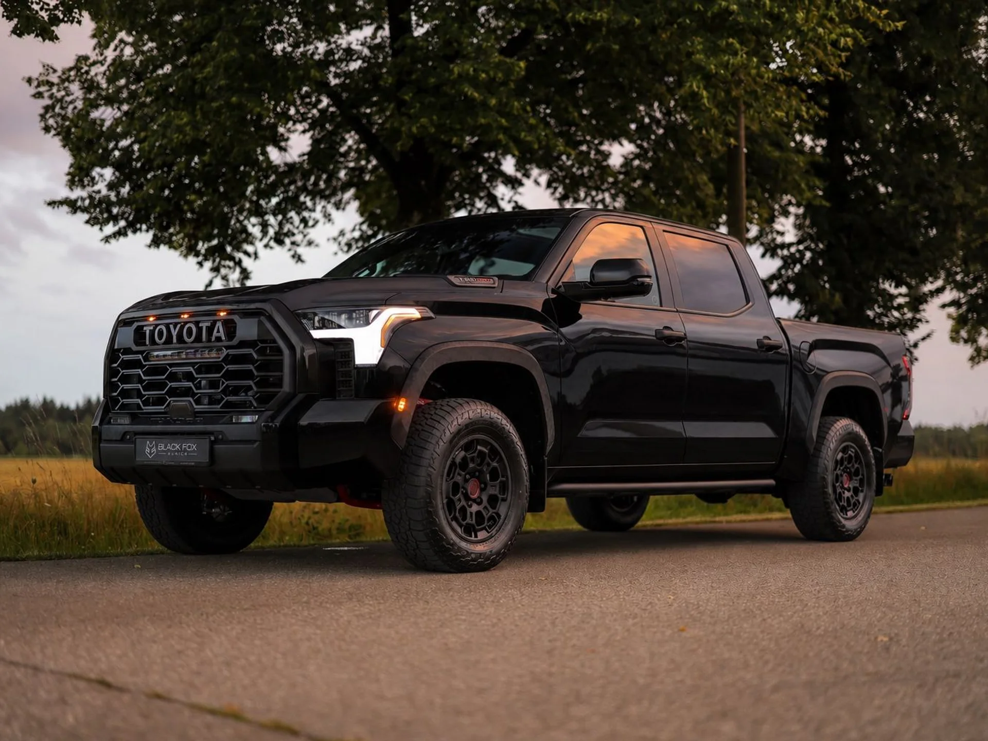 TOYOTA Tundra - Bild 1