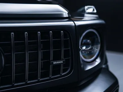 Thumbnail 12